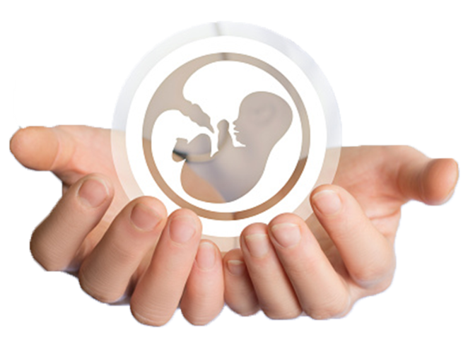 Dr. Geetanjali Borse